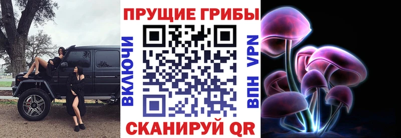 что такое   дарк нет клад  Псилоцибиновые грибы Cubensis  Нягань 